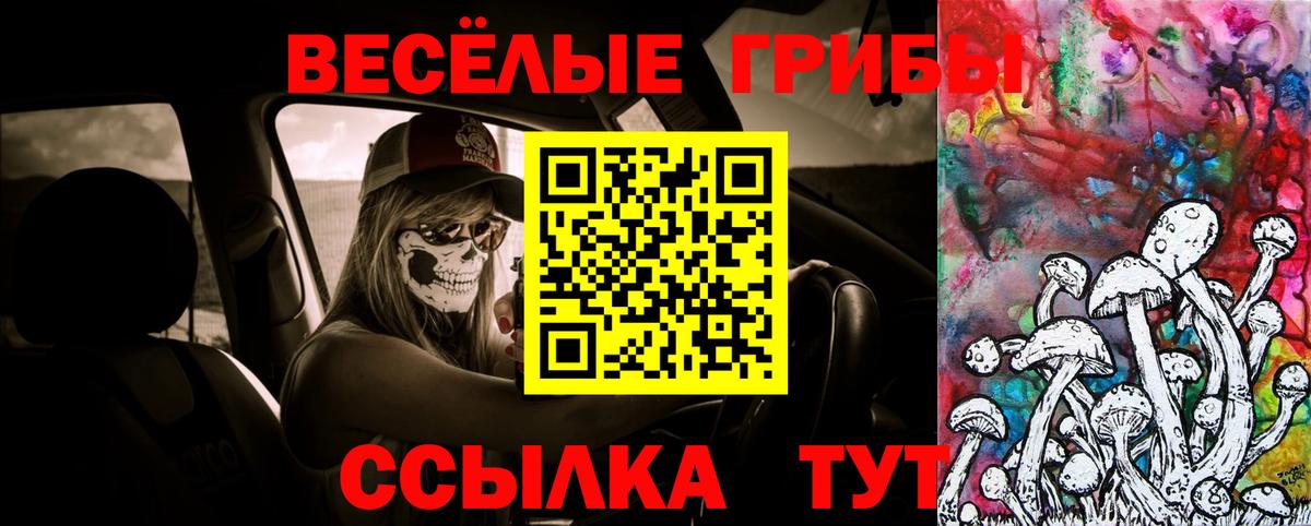 Ефремов  Галлюциногенные грибы ЛСД  Вход с VPN  Псилоцибиновые грибы GOLDEN TEACHER 
